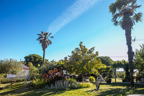 QUINTA ANTES O VENTO - photo 9