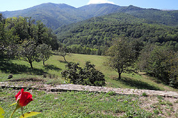 Le Vieux Mas