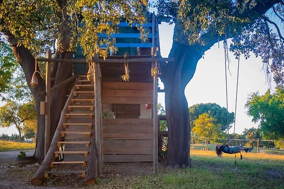 Direction South Glamping - photo 3