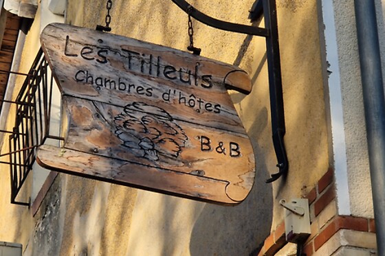 Les Tilleuls - photo 8