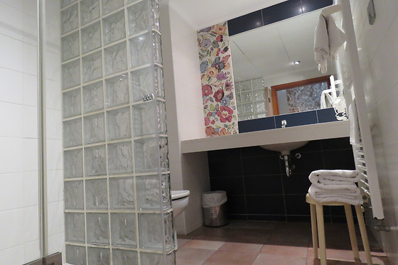 HOTEL SANTA ANNA - photo 10