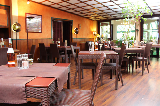 LOGIS CENTRAL HOTEL - BORT-LES-ORGUES - photo 2