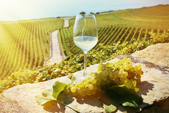 HOTEL FONDA NEUS - photo 8