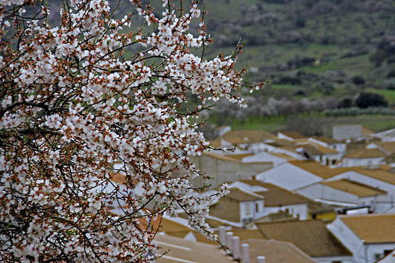 HOTEL RURAL LAS MONTERAS - photo 7