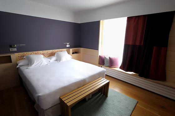 HOTEL RESORT BALNEARIO DE PANTICOSA - photo 25