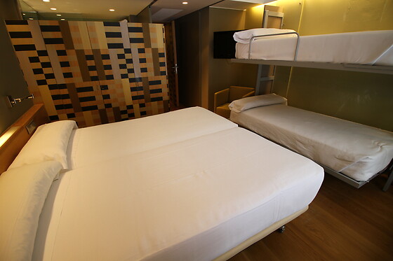 HOTEL RESORT BALNEARIO DE PANTICOSA - photo 28