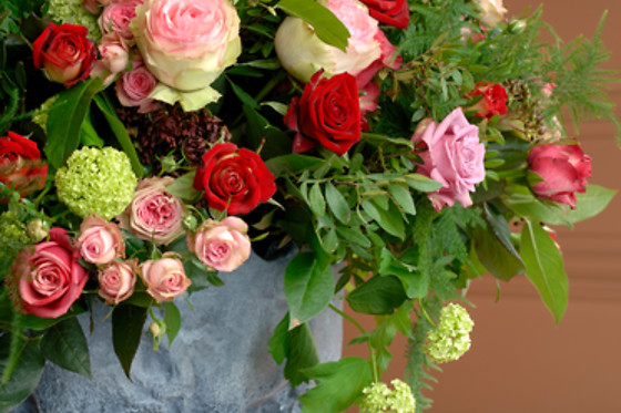 De Florentijnen - photo 4