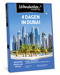 4 Dagen in Dubai