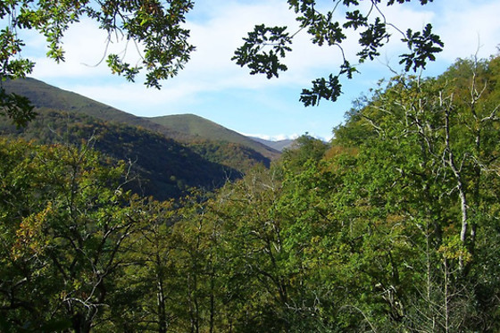 CASONA CAMINO REAL DE SELORES - photo 7